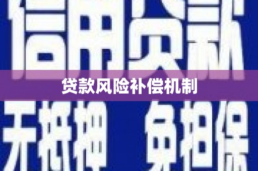 朗县贷款风险补偿机制