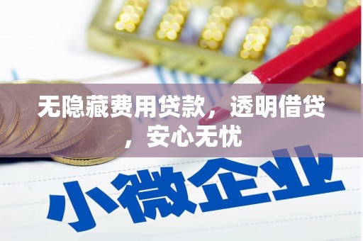 朗县无隐藏费用贷款，透明借贷，安心无忧