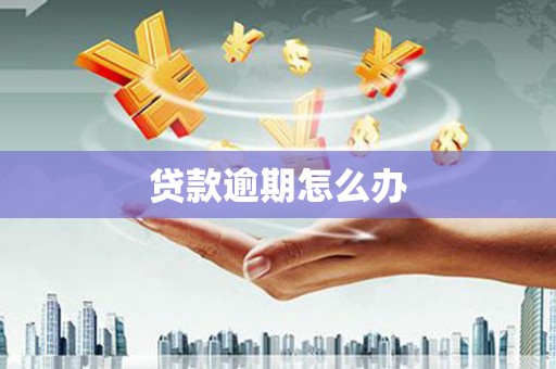 朗县贷款逾期怎么办
