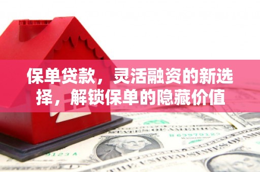 朗县保单贷款，灵活融资的新选择，解锁保单的隐藏价值