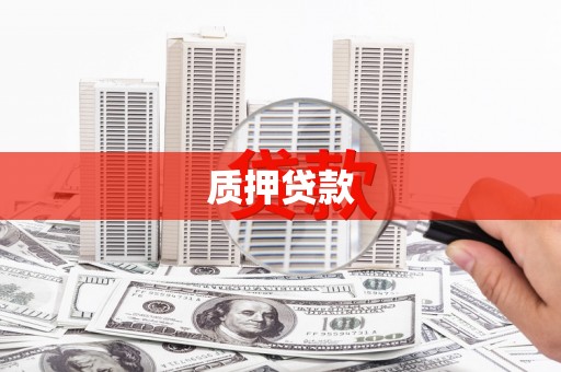 朗县质押贷款