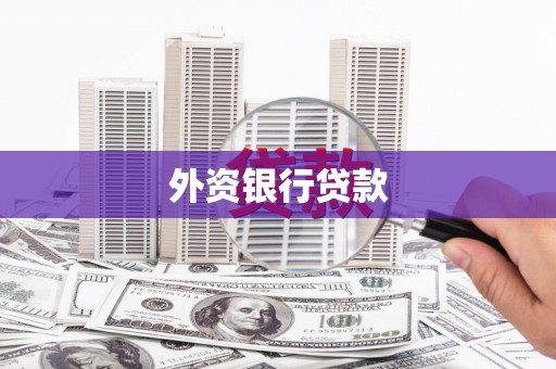 朗县外资银行贷款