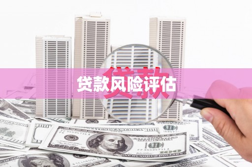 朗县贷款风险评估