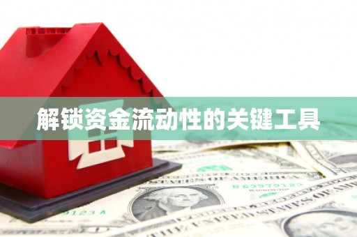 朗县解锁资金流动性的关键工具