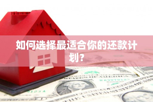 朗县如何选择最适合你的还款计划？