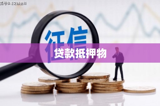 朗县贷款抵押物