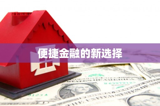 朗县便捷金融的新选择