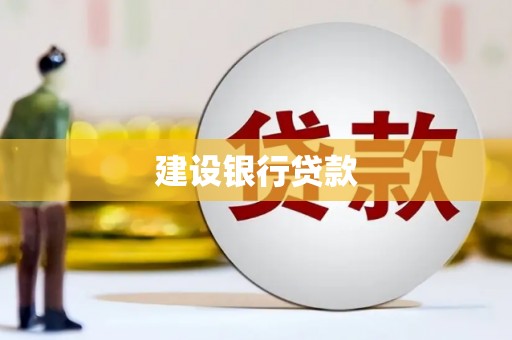 朗县建设银行贷款