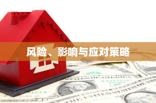 朗县风险、影响与应对策略