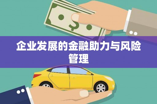 朗县企业发展的金融助力与风险管理