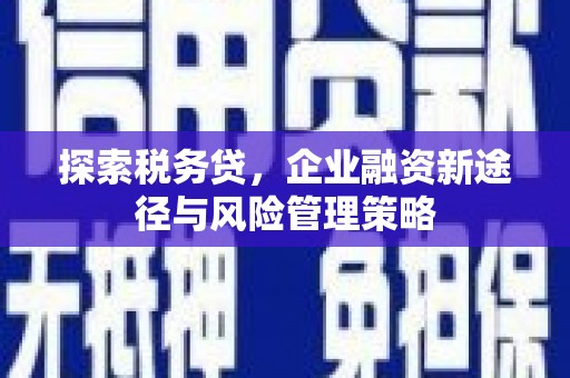 朗县探索税务贷，企业融资新途径与风险管理策略