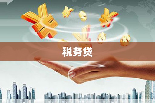 朗县税务贷
