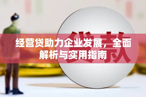 朗县经营贷助力企业发展，全面解析与实用指南