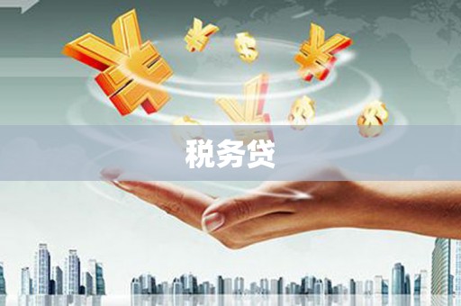 朗县税务贷