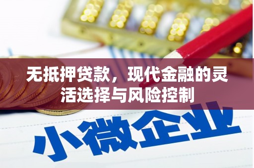 朗县无抵押贷款，现代金融的灵活选择与风险控制