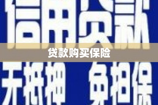 朗县贷款购买保险