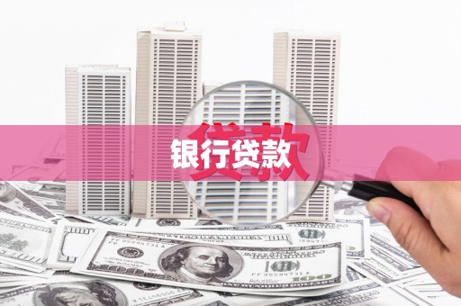 朗县银行贷款