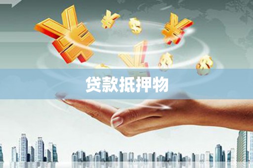 朗县贷款抵押物