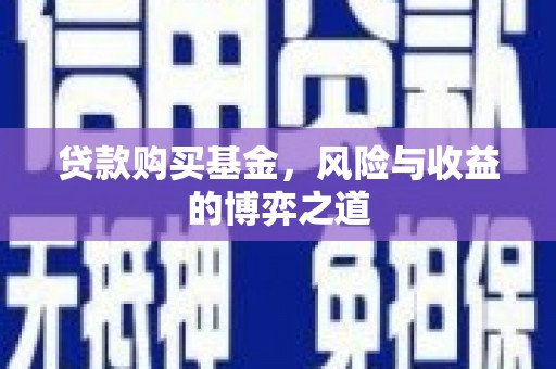 朗县贷款购买基金，风险与收益的博弈之道
