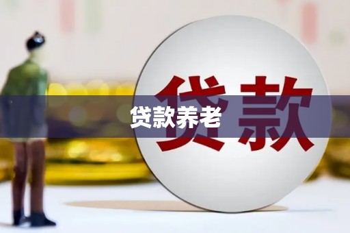 朗县贷款养老