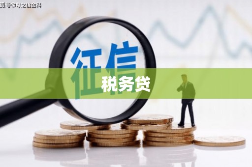 朗县税务贷