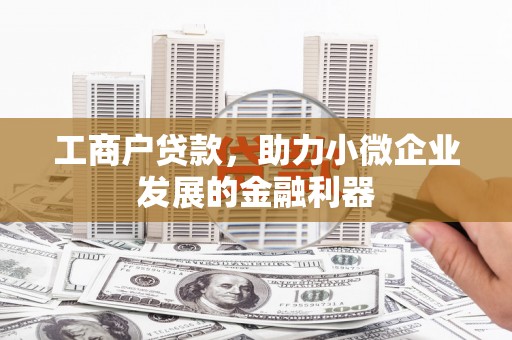 朗县工商户贷款，助力小微企业发展的金融利器