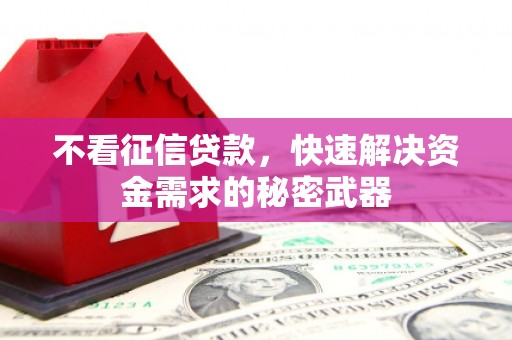 朗县不看征信贷款，快速解决资金需求的秘密武器