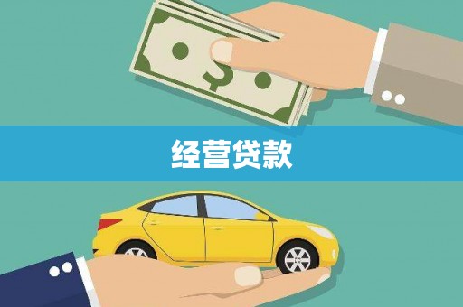 朗县经营贷款
