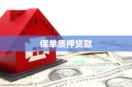 朗县保单质押贷款