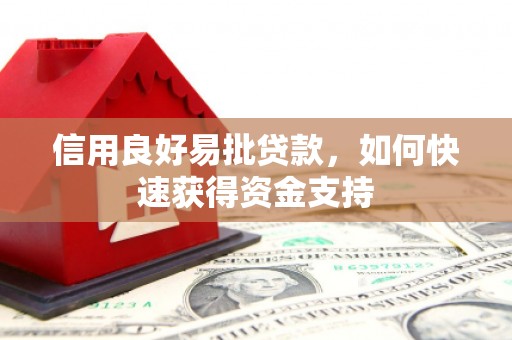 朗县信用良好易批贷款，如何快速获得资金支持