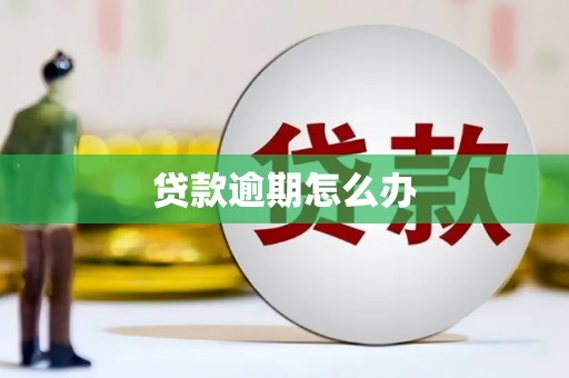 朗县贷款逾期怎么办