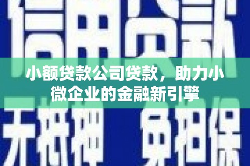 朗县小额贷款公司贷款，助力小微企业的金融新引擎