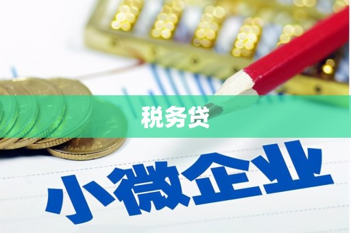 朗县税务贷