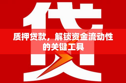 朗县质押贷款，解锁资金流动性的关键工具
