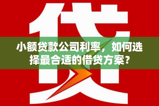朗县小额贷款公司利率，如何选择最合适的借贷方案？