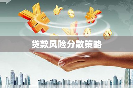 朗县贷款风险分散策略