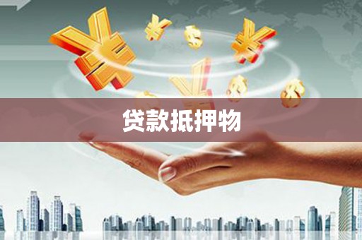 朗县贷款抵押物