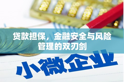 朗县贷款担保，金融安全与风险管理的双刃剑