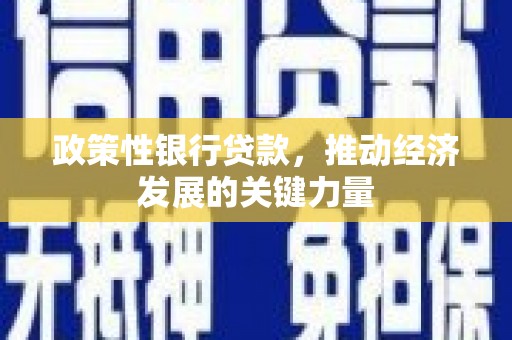 朗县政策性银行贷款，推动经济发展的关键力量