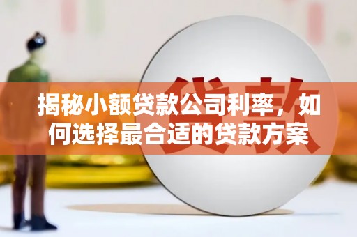 朗县揭秘小额贷款公司利率，如何选择最合适的贷款方案