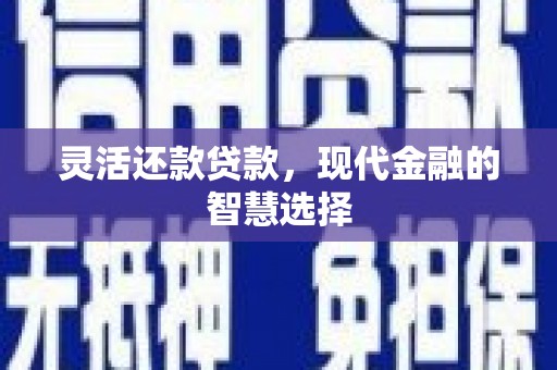 朗县灵活还款贷款，现代金融的智慧选择