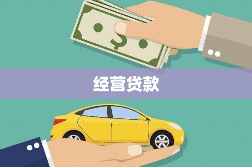 朗县经营贷款