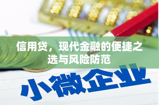 朗县信用贷，现代金融的便捷之选与风险防范