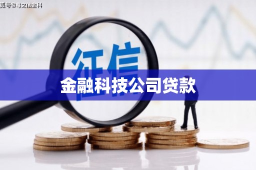 朗县金融科技公司贷款