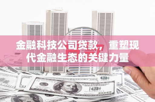 朗县金融科技公司贷款，重塑现代金融生态的关键力量