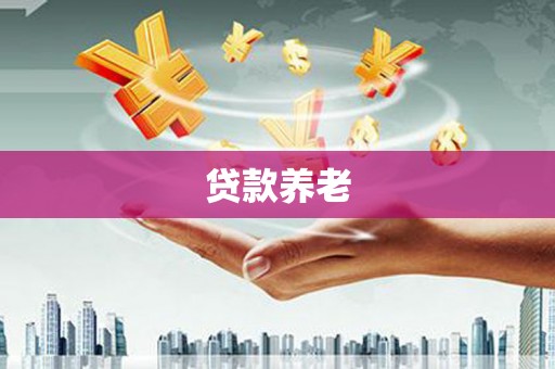 朗县贷款养老