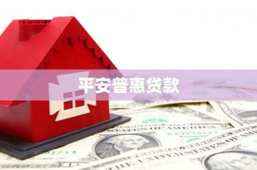朗县平安普惠贷款