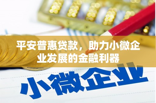 朗县平安普惠贷款，助力小微企业发展的金融利器