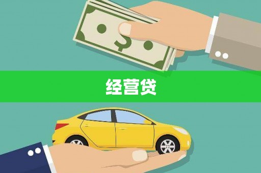 朗县经营贷