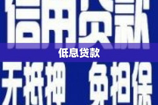 朗县低息贷款